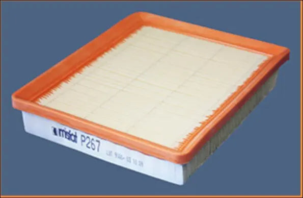 Filtre a air pour Hyundai XG, Sonata IV, Trajet / KIA Magentis I