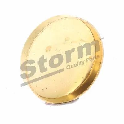 Pastille de sablage universel 47mm