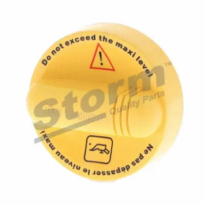 Lot de 2 – Bouchon, goulotte de remplissage d’huile pour KANGOO/MEGANE/LAGUNA