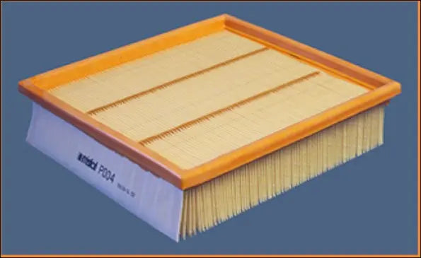Filtre a air pour Ford Transit, Metrocab, Taxi / LDV Convoy