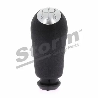 Pommeau pour CLIO III/KANGOO II