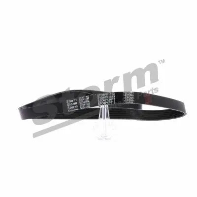 Courroie accessoire 6pk1613