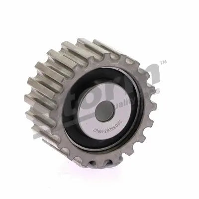 Pignon, pompe d'injection pour CLIO/KANGOO 1.9 DTI