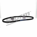 Kit distribution complet pour FIAT Fiorino Pick up, Fiorino, Punto / Innocenti Elba