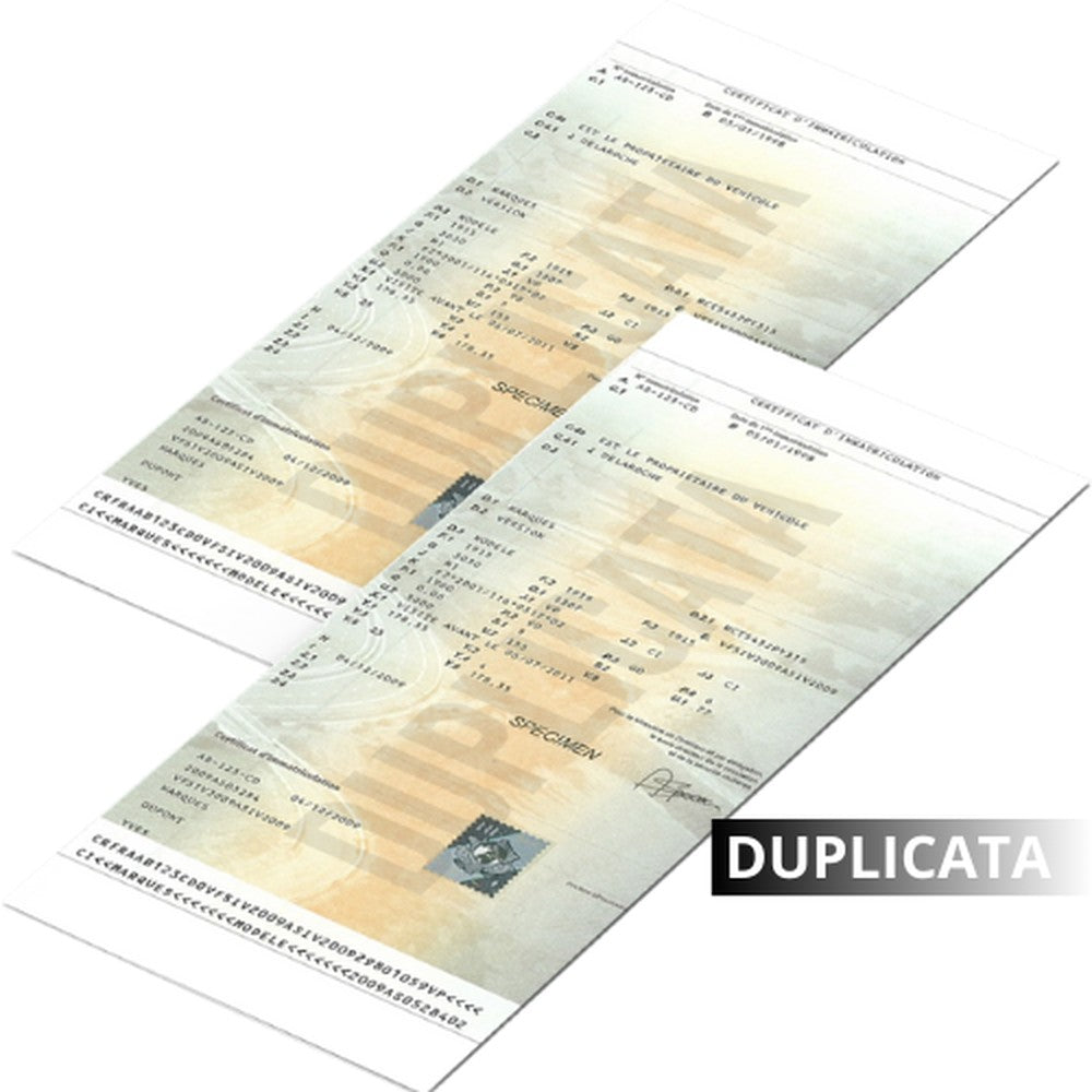Carte grise – Duplicata (perte, vol ou détérioration)