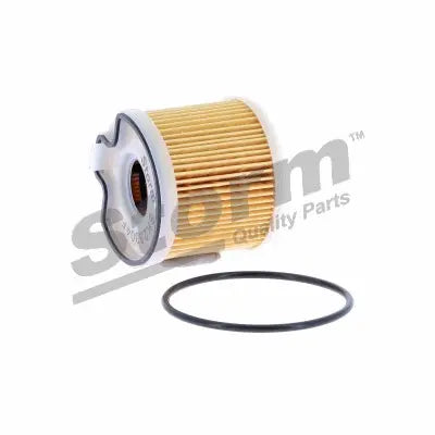 Lot de 2 – Filtre à carburant pour XSARA/206/307 2.0HDI