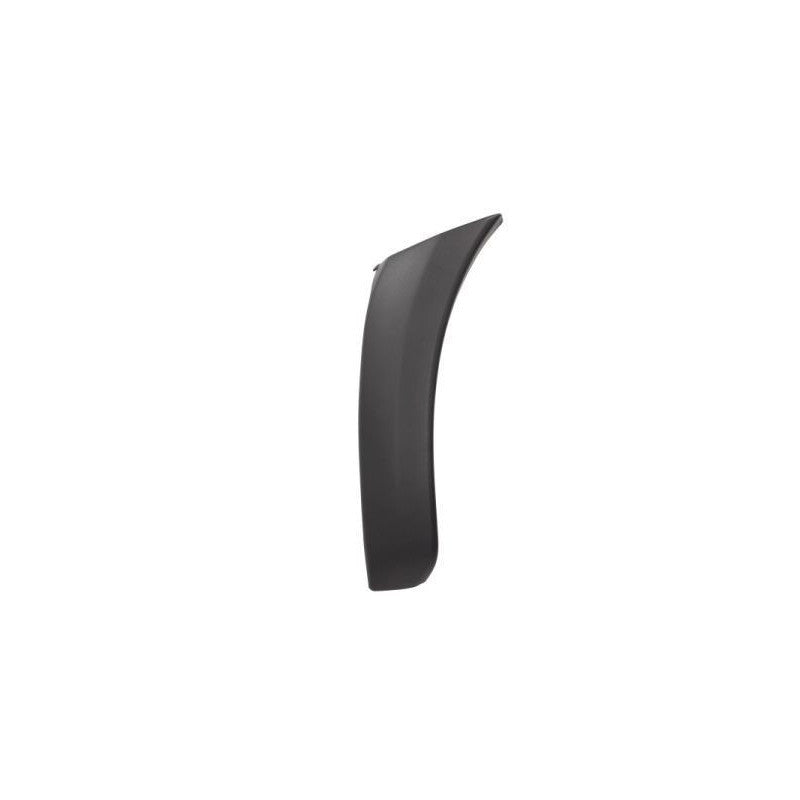 Embout de pare-choc avant gauche Toyota Rav4 2 2000-2006