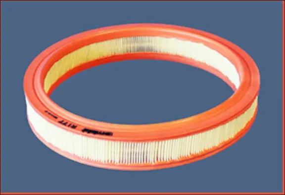 Filtre a air pour Ford Escort V, Escort VI, Escort V Turnier