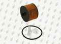 Filtre à carburant Prodex FF1013 pour Peugeot 407, Citroën C5 III, Ford S-Max