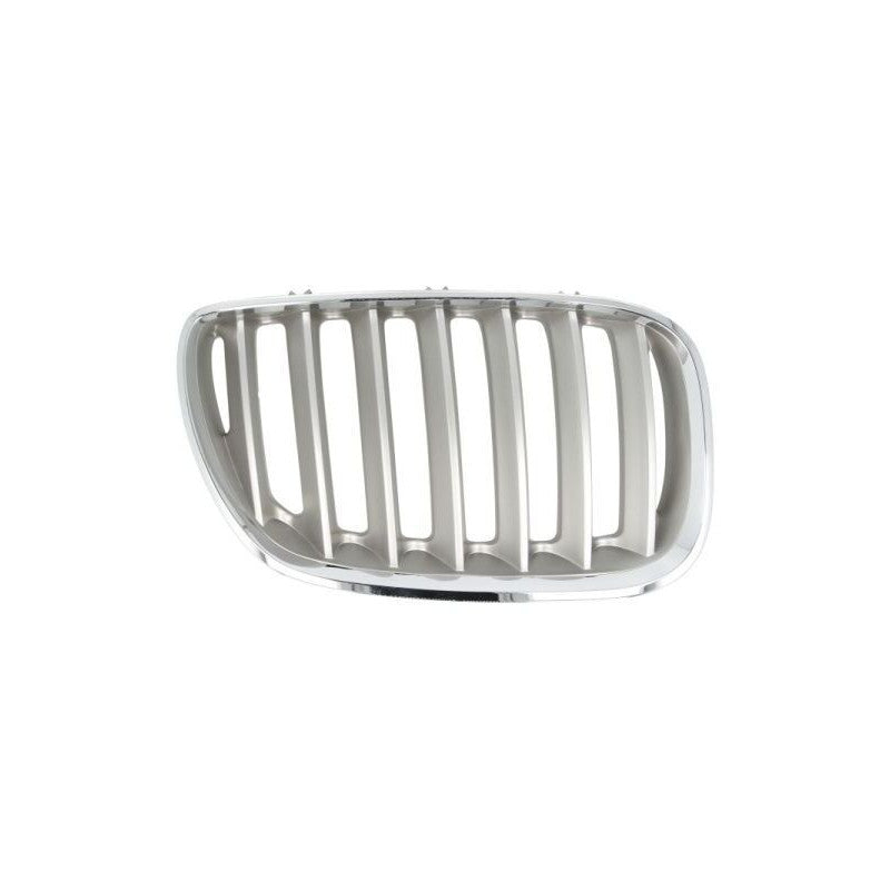 Grille de calandre avant droite titanium BMW X5 1 E53 phase 2 2003-2007