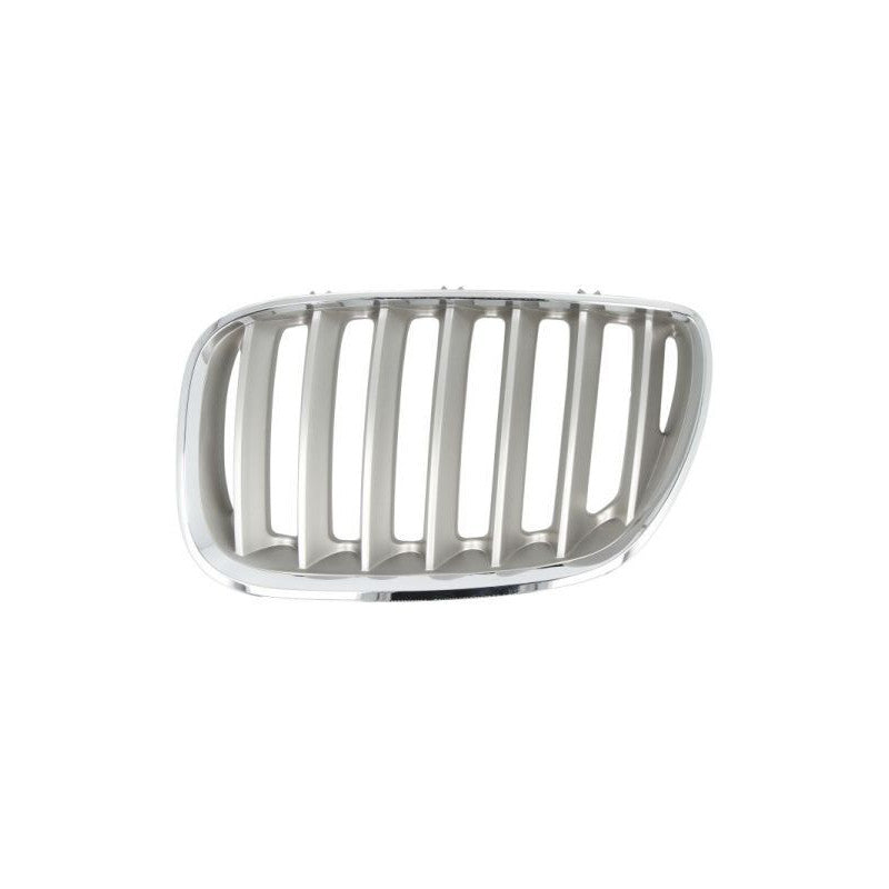 Grille de calandre avant gauche titanium BMW X5 1 E53 phase 2 2003-2007