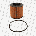 Filtre à huile Prodex OF1077 pour Renault Espace IV, Master II