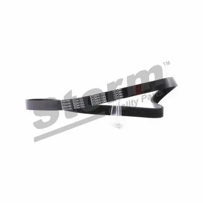Courroie accessoire 6pk1095