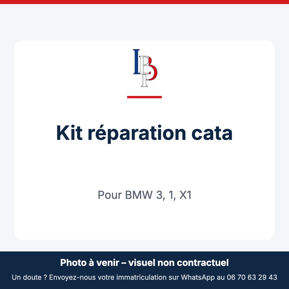 Kit réparation cata pour BMW 3, 1, X1