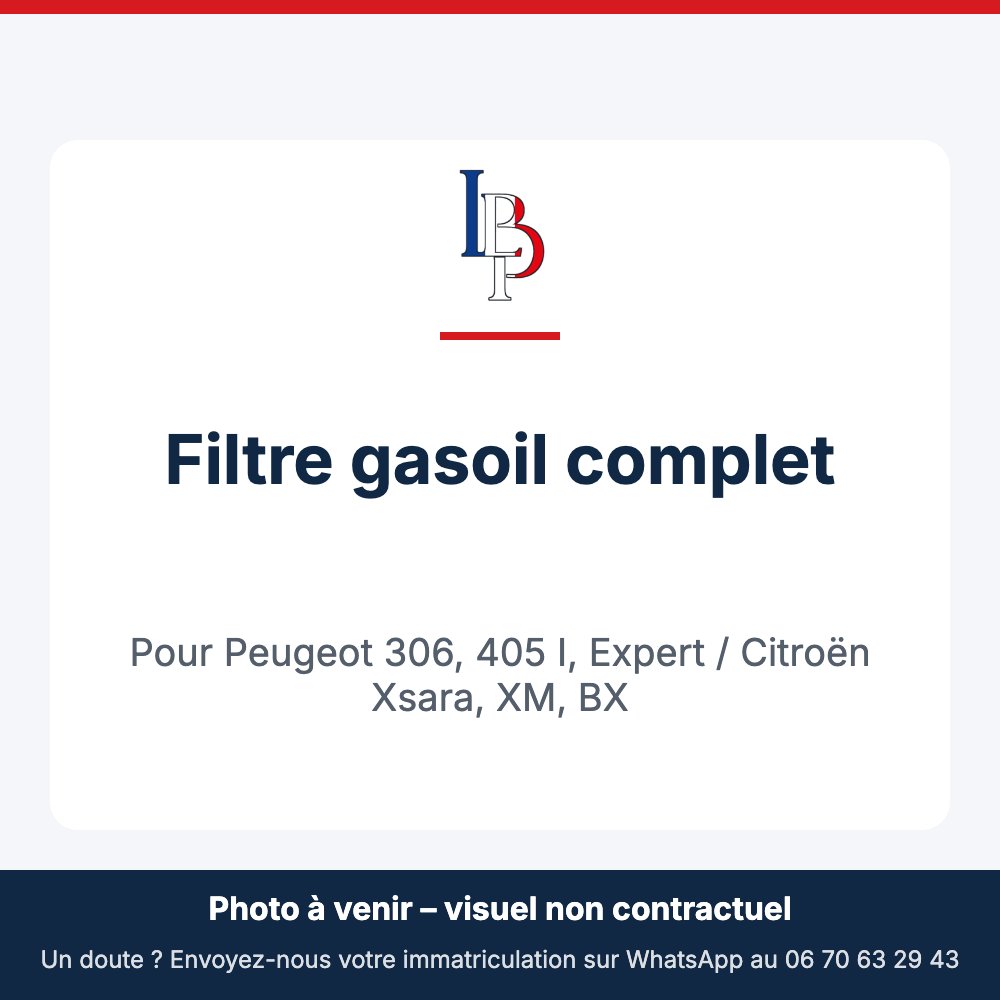 Filtre gasoil complet pour Peugeot 306, 405 I, Expert / Citroën Xsara, XM, BX