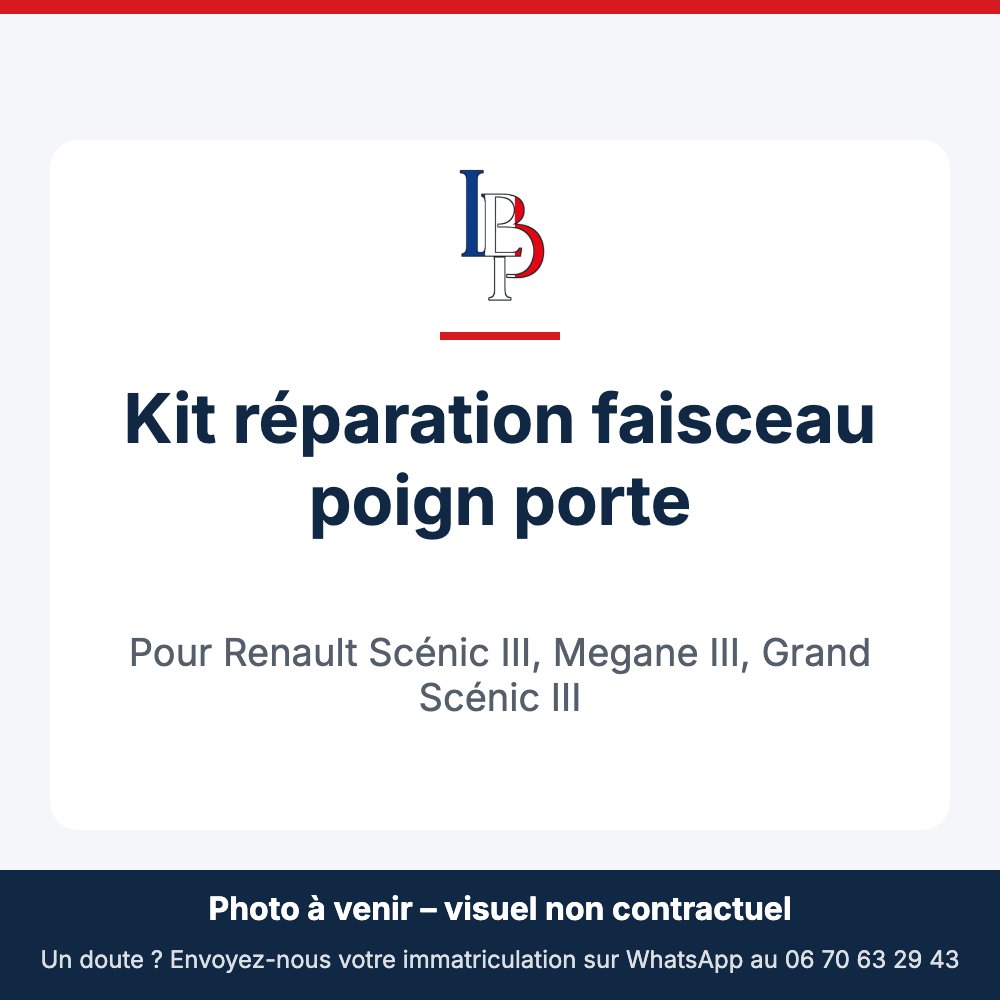 Kit réparation faisceau poign porte pour Renault Scénic III, Megane III, Grand Scénic III