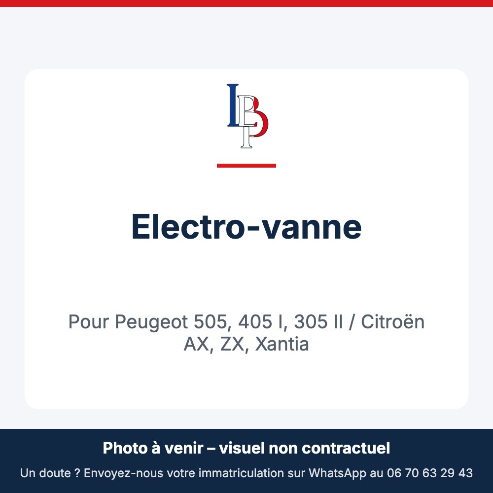Electro-vanne pour Peugeot 505, 405 I, 305 II / Citroën AX, ZX, Xantia