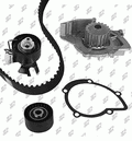 Kit de distribution avec pompe à eau Prodex TB1022WP pour Peugeot 407, Citroën C5 III, Ford S-Max
